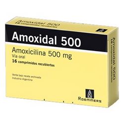 Amoxidal 500 mg.x 8 comprimidos